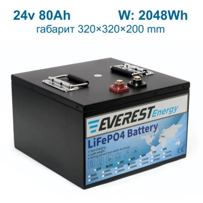 Everest LFP-24V 80Аh литиевый тяговый аккумулятор 