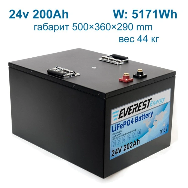 Everest Energy LFP-24V202Аh литиевый тяговый аккумулятор 